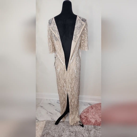 Adrianna papell embellished sequined lace column gown with Flutter sleev… - Picture 10 of 16